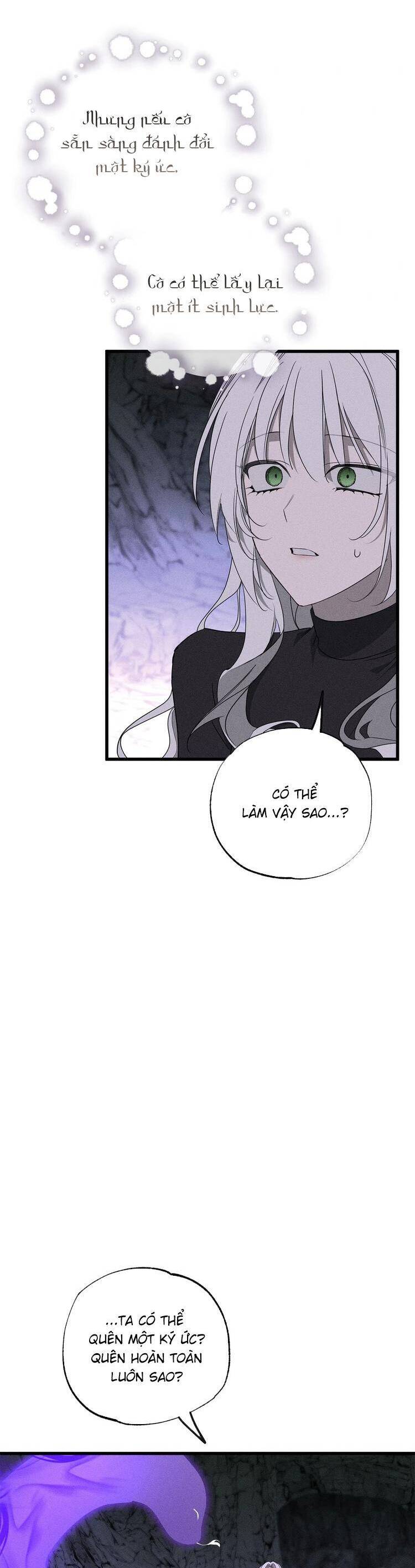 Vị Phu Quân Căm Ghét Tôi Đã Mất Trí Nhớ: Chapter 62