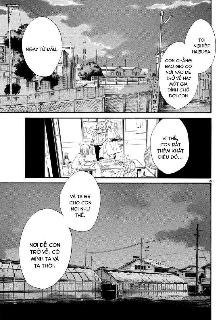 Vị Thần Lang Thang: Noragami: Chapter 87.2
