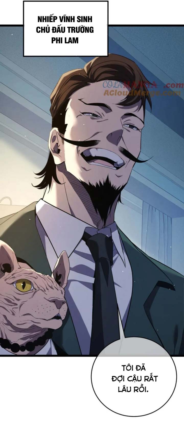 Vô Địch Bị Động Tạo Ra Tấn Sát Thương: Chapter 68.1