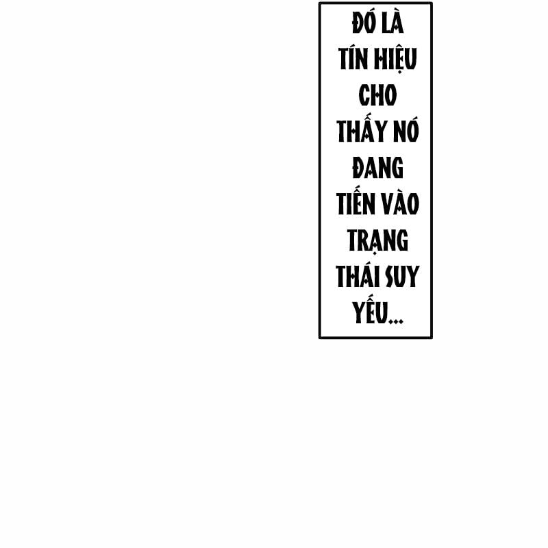 Vô Song Cùng Với Vũ Khí Ẩn: Chapter 12