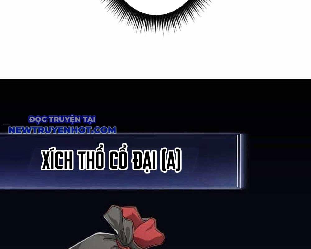 Vô Song Cùng Với Vũ Khí Ẩn: Chapter 29