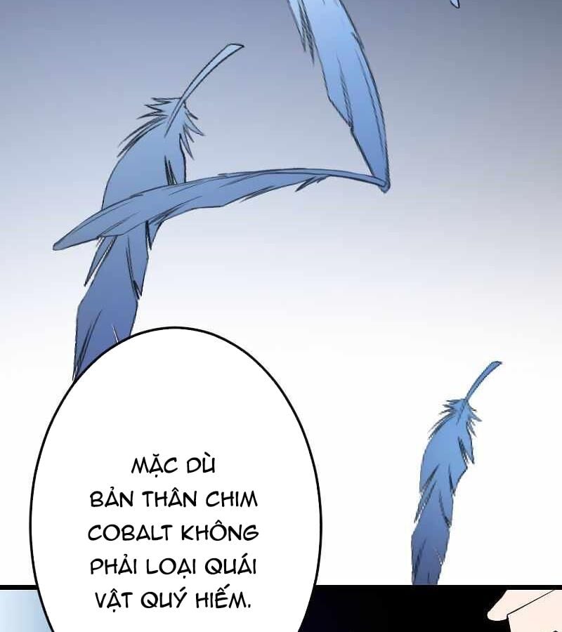 Vô Song Cùng Với Vũ Khí Ẩn: Chapter 6