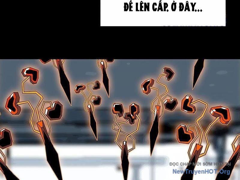 Vương Tạc: Chapter 11