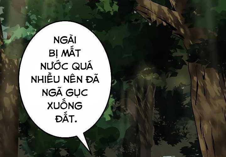 Xạ Thủ Bóng Tối Bất Khả Chiến Bại Bị Trục Xuất: Chapter 8