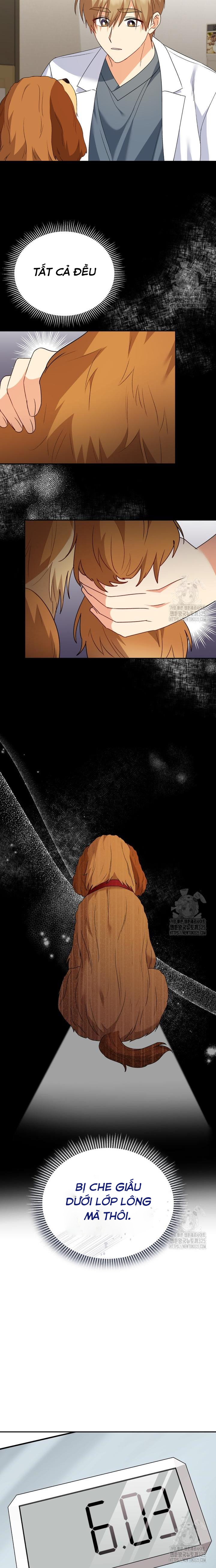 Xin Chào! Bác Sĩ Thú Y: Chapter 42