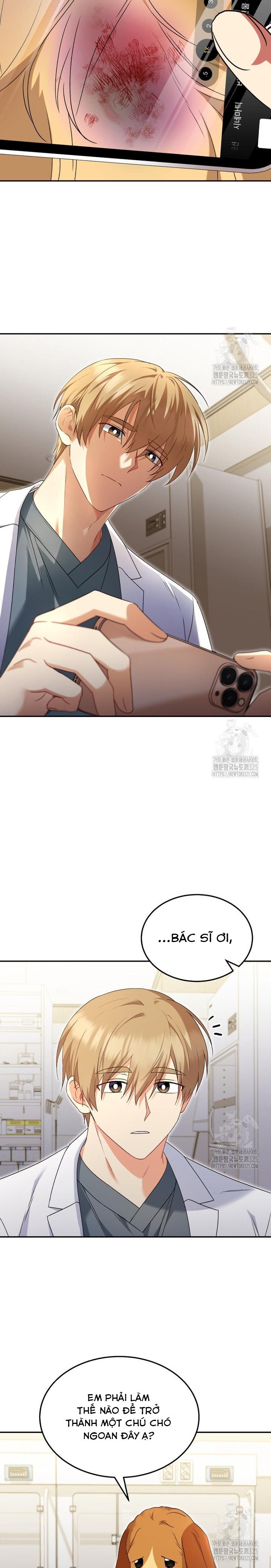 Xin Chào! Bác Sĩ Thú Y: Chapter 43