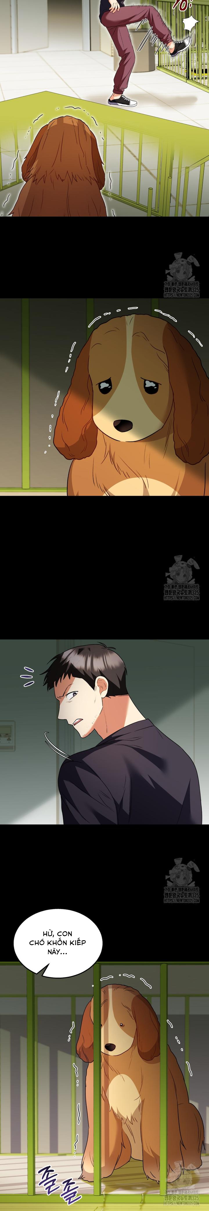 Xin Chào! Bác Sĩ Thú Y: Chapter 43