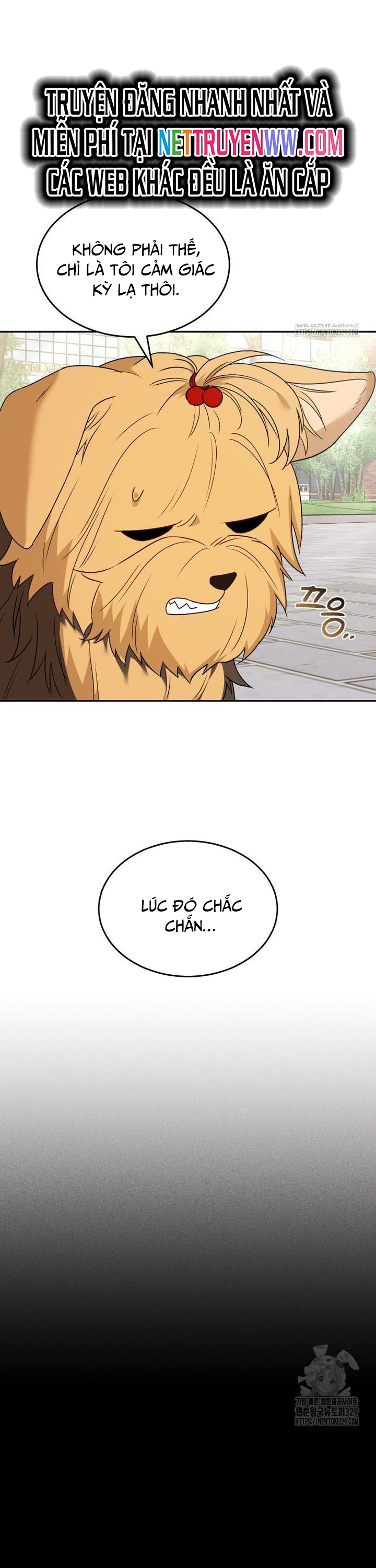 Xin Chào! Bác Sĩ Thú Y: Chapter 47
