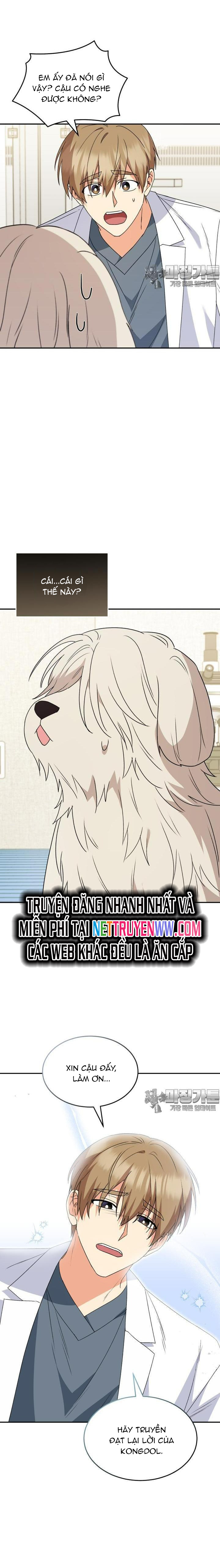 Xin Chào! Bác Sĩ Thú Y: Chapter 49
