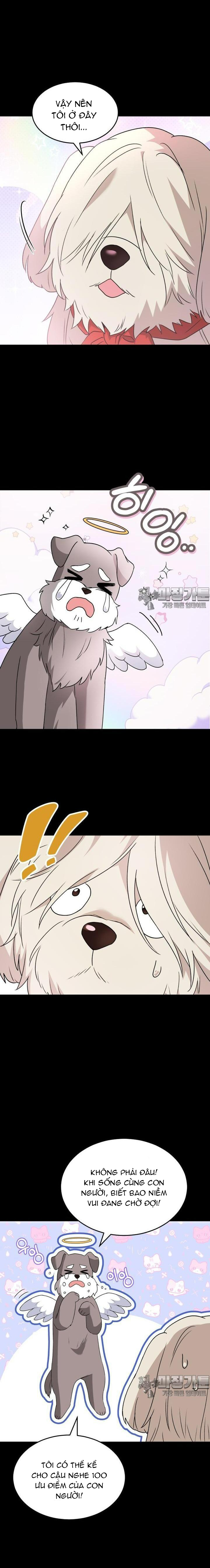 Xin Chào! Bác Sĩ Thú Y: Chapter 49