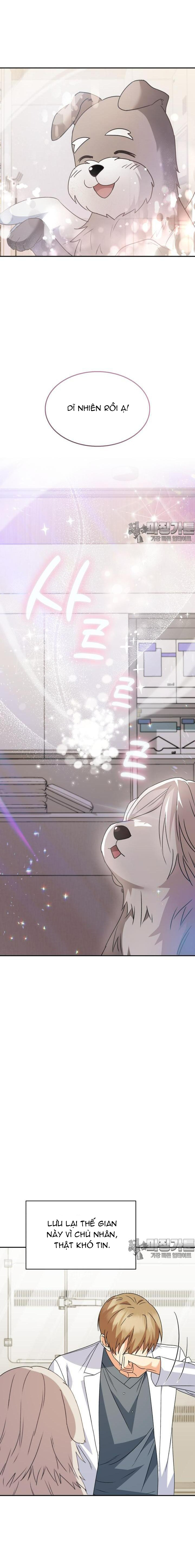 Xin Chào! Bác Sĩ Thú Y: Chapter 49