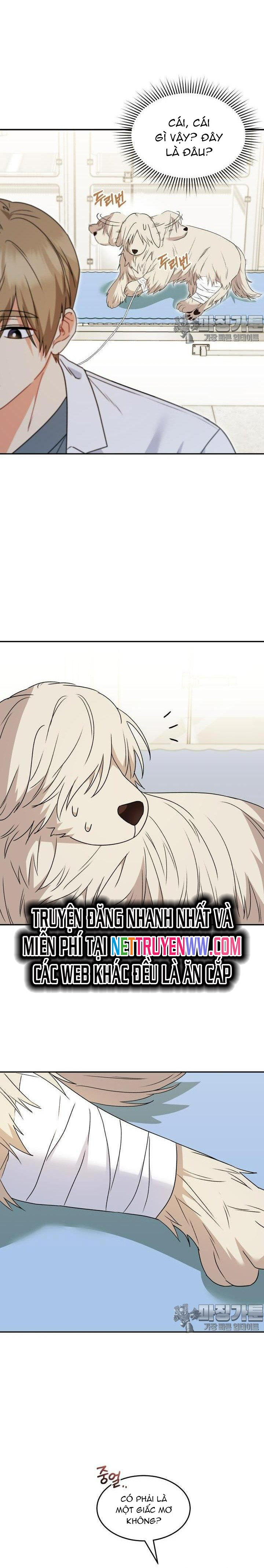 Xin Chào! Bác Sĩ Thú Y: Chapter 49