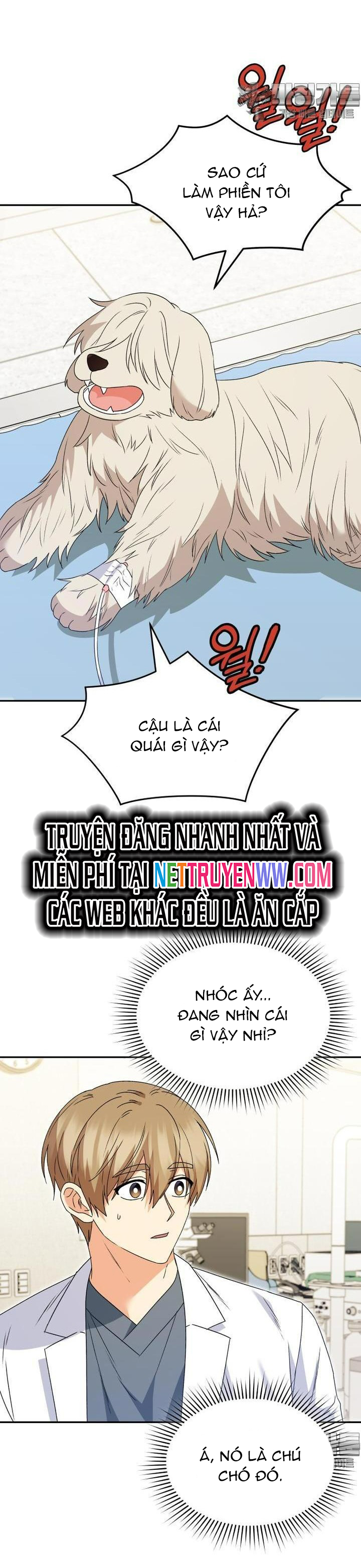 Xin Chào! Bác Sĩ Thú Y: Chapter 49