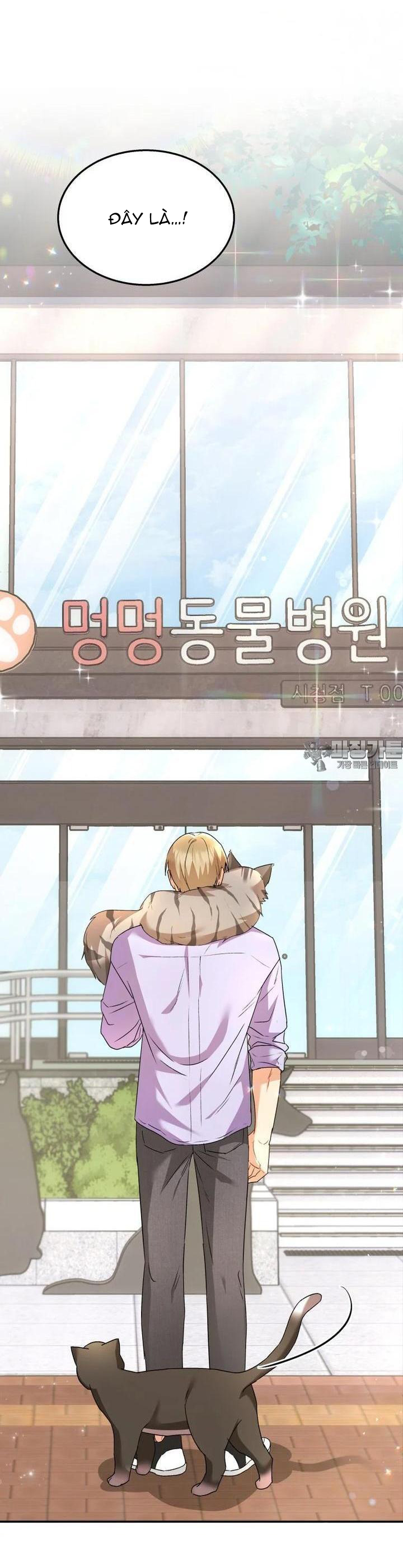 Xin Chào! Bác Sĩ Thú Y: Chapter 51