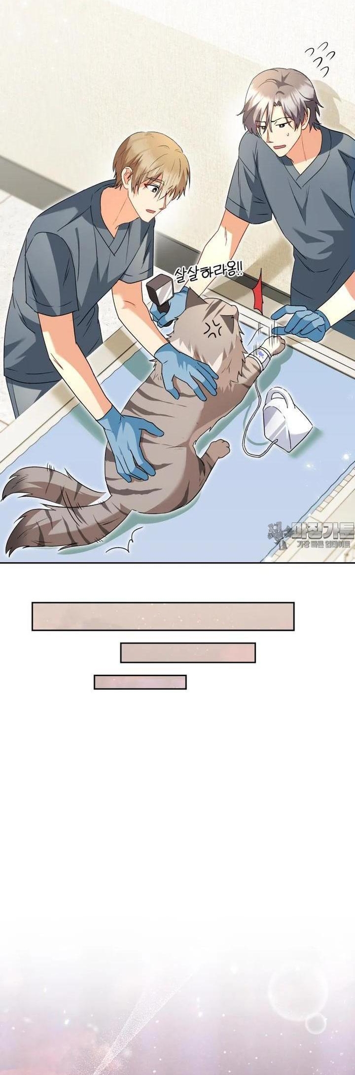 Xin Chào! Bác Sĩ Thú Y: Chapter 52