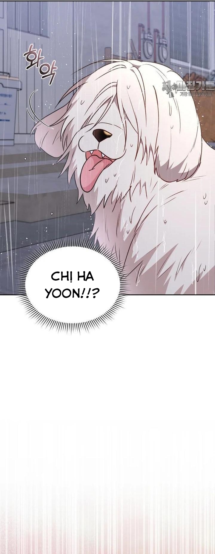 Xin Chào! Bác Sĩ Thú Y: Chapter 57