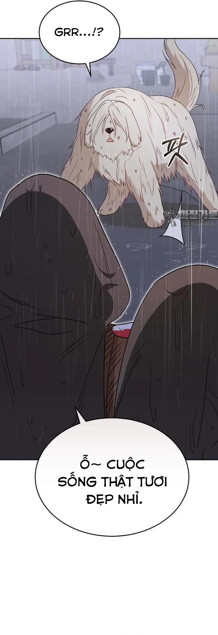 Xin Chào! Bác Sĩ Thú Y: Chapter 57