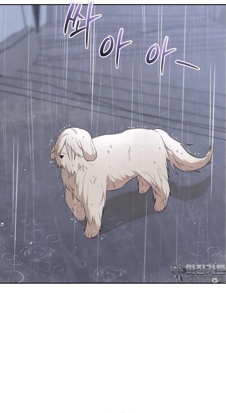 Xin Chào! Bác Sĩ Thú Y: Chapter 57
