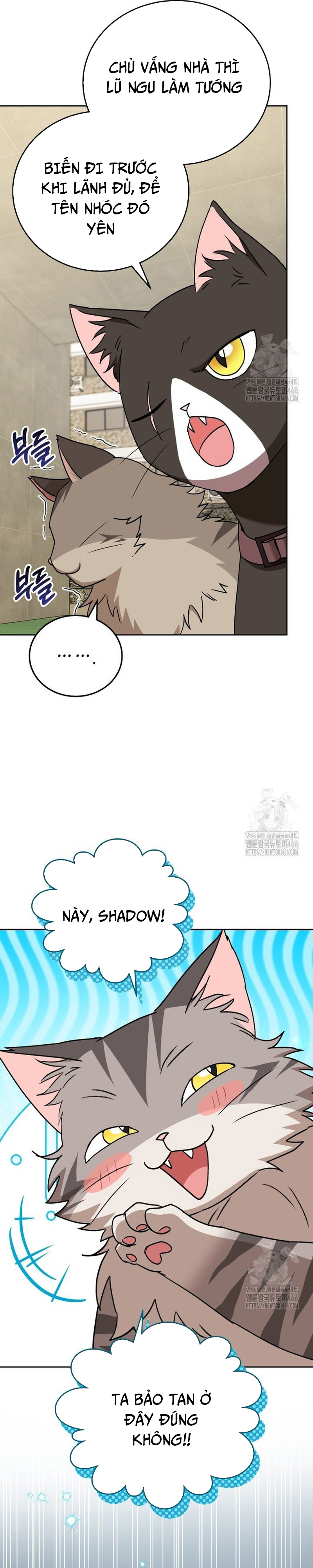 Xin Chào! Bác Sĩ Thú Y: Chapter 77