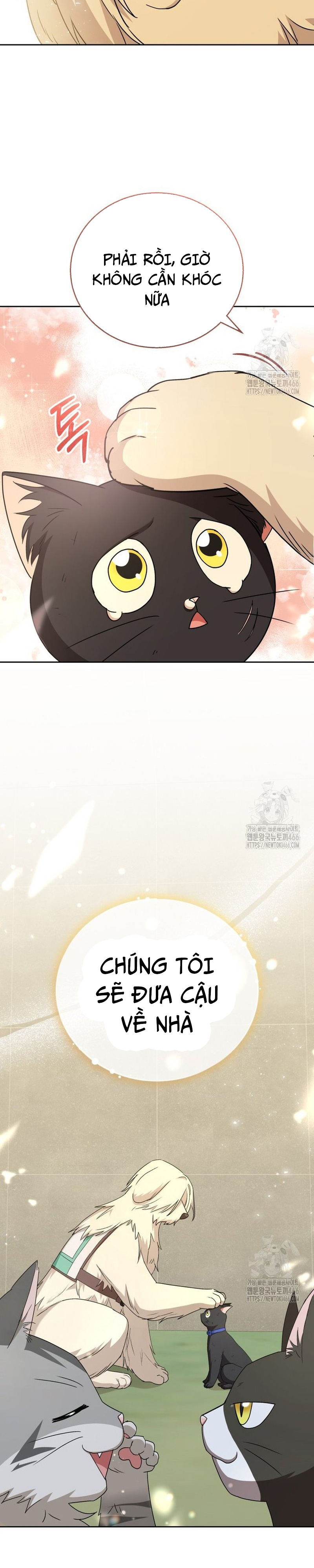 Xin Chào! Bác Sĩ Thú Y: Chapter 77