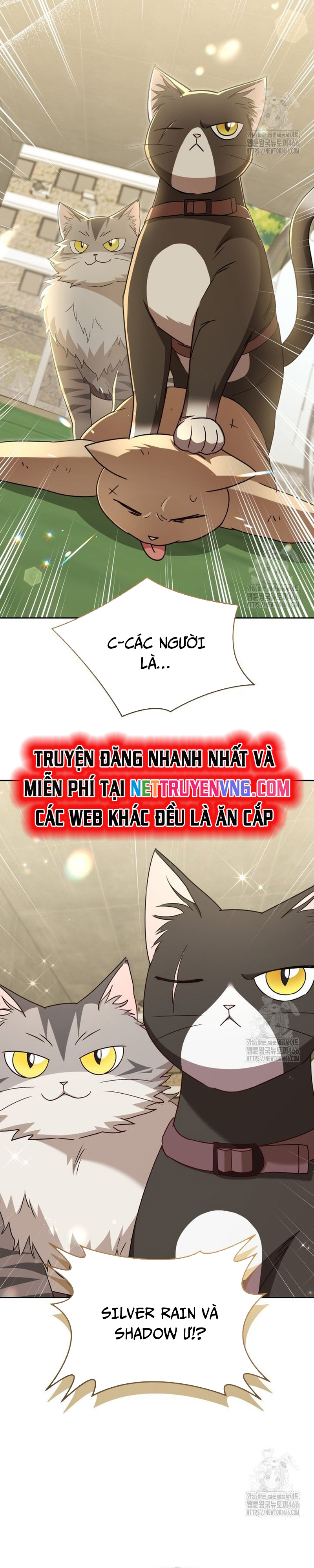 Xin Chào! Bác Sĩ Thú Y: Chapter 77