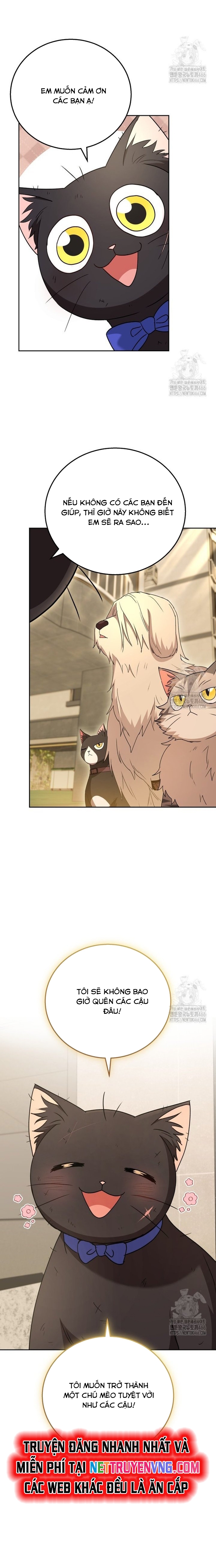 Xin Chào! Bác Sĩ Thú Y: Chapter 78