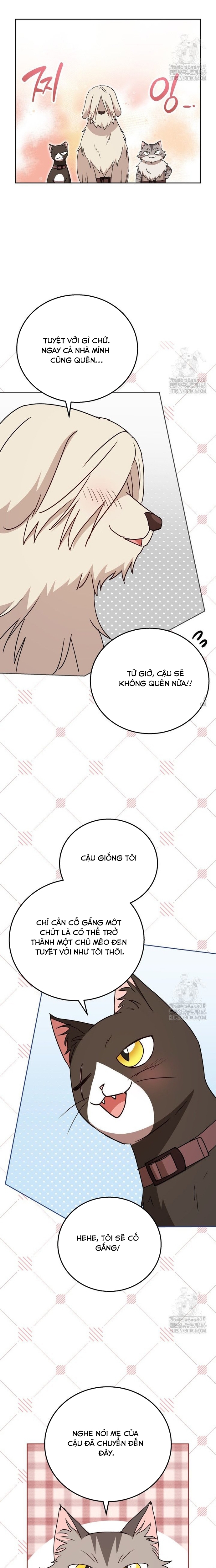 Xin Chào! Bác Sĩ Thú Y: Chapter 78