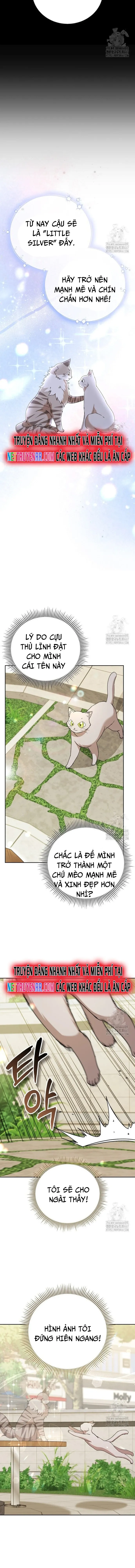 Xin Chào! Bác Sĩ Thú Y: Chapter 81