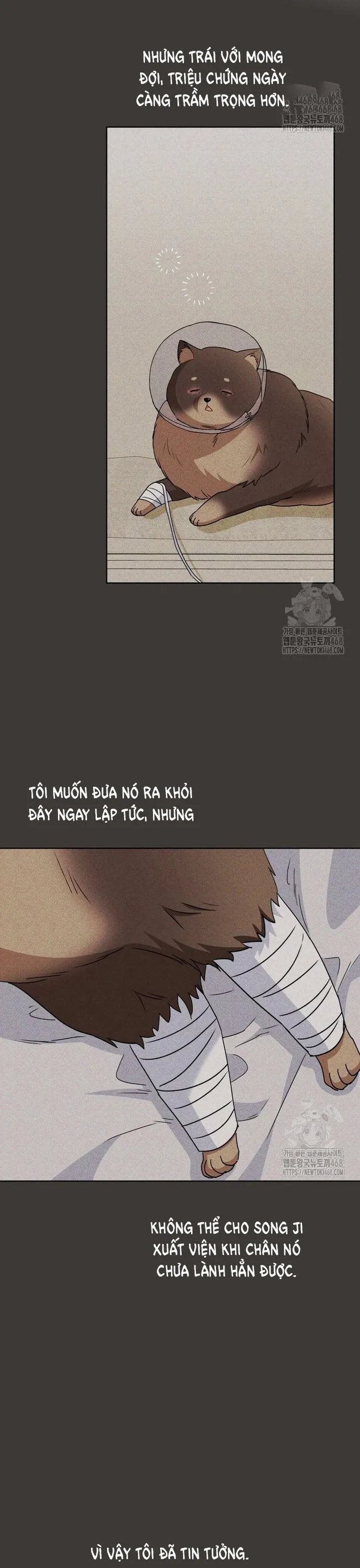 Xin Chào! Bác Sĩ Thú Y: Chapter 87