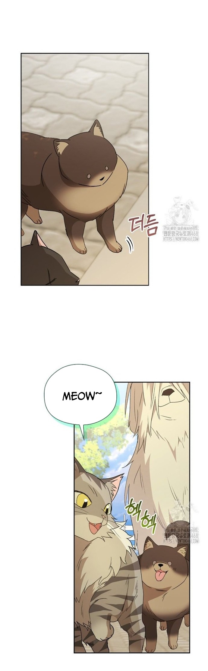 Xin Chào! Bác Sĩ Thú Y: Chapter 91