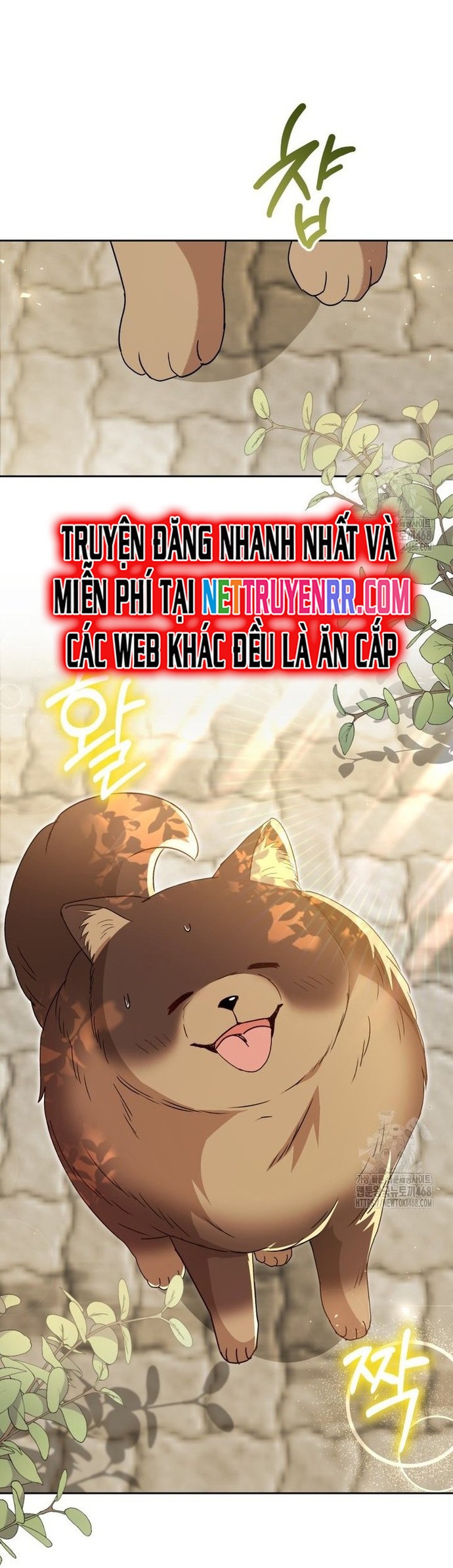 Xin Chào! Bác Sĩ Thú Y: Chapter 91