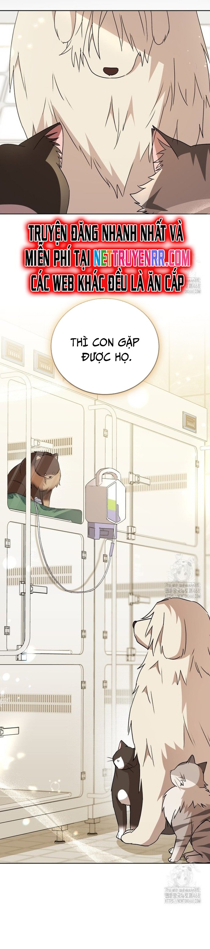 Xin Chào! Bác Sĩ Thú Y: Chapter 91