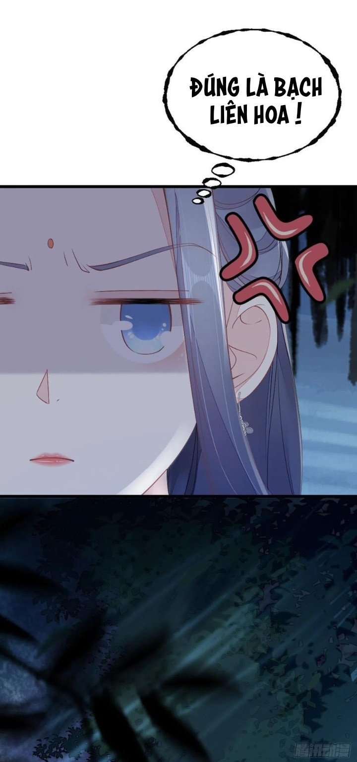 Xuyên Không Chi Viện : Ác Nữ Phản Diện Muốn Tẩy Trắng: Chapter 20.5