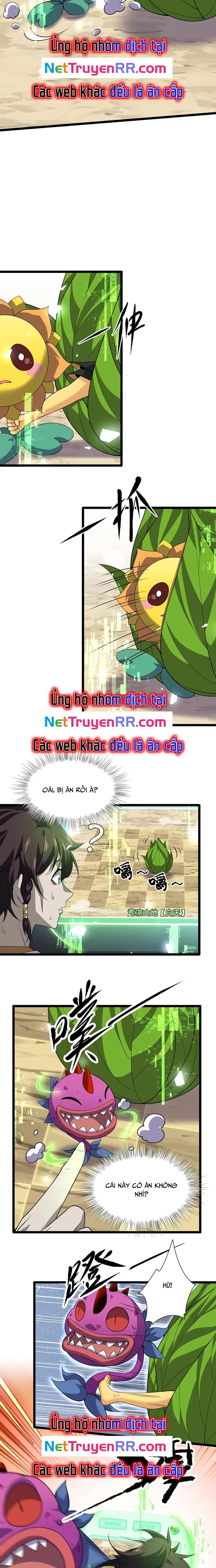 Xuyên Không Đến Thế Giới Tu Chân, Ta Vậy Mà Kích Hoạt Được Hệ Thống Plants vs Zombie: Chapter 11