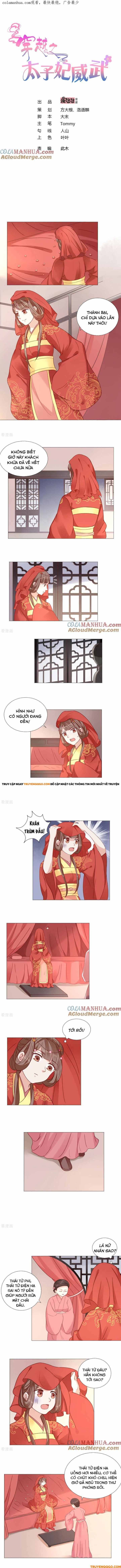 Xuyên Không Trở Thành Thái Tử Phi Uy Vũ: Chapter 10