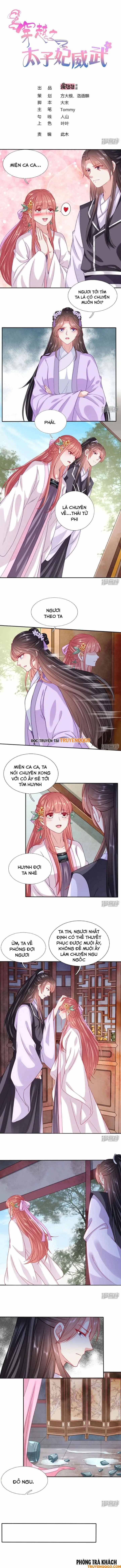 Xuyên Không Trở Thành Thái Tử Phi Uy Vũ: Chapter 104