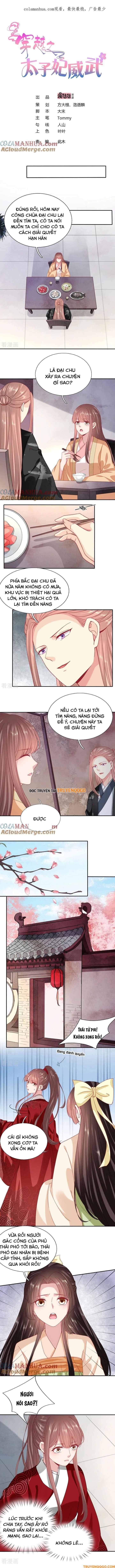 Xuyên Không Trở Thành Thái Tử Phi Uy Vũ: Chapter 111