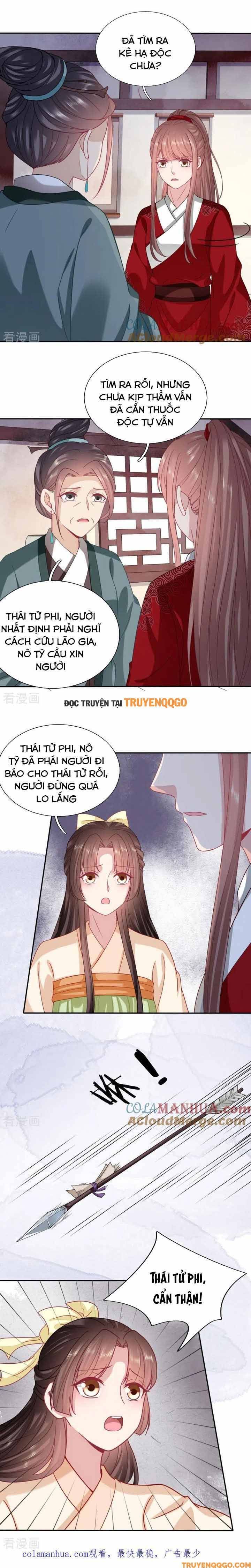 Xuyên Không Trở Thành Thái Tử Phi Uy Vũ: Chapter 111
