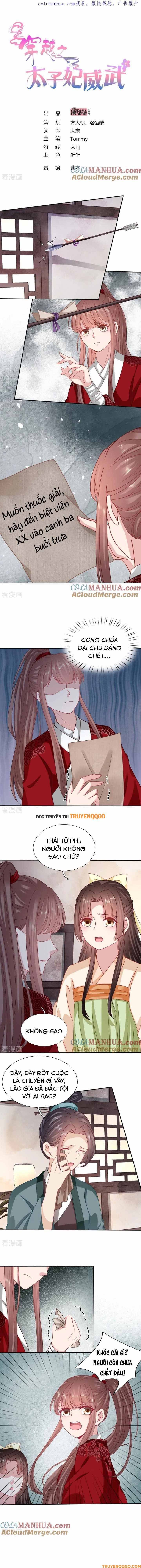 Xuyên Không Trở Thành Thái Tử Phi Uy Vũ: Chapter 112