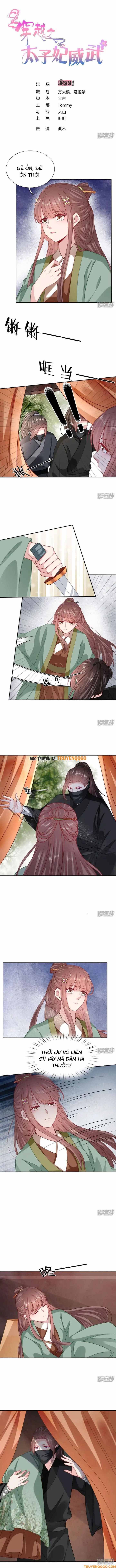Xuyên Không Trở Thành Thái Tử Phi Uy Vũ: Chapter 117
