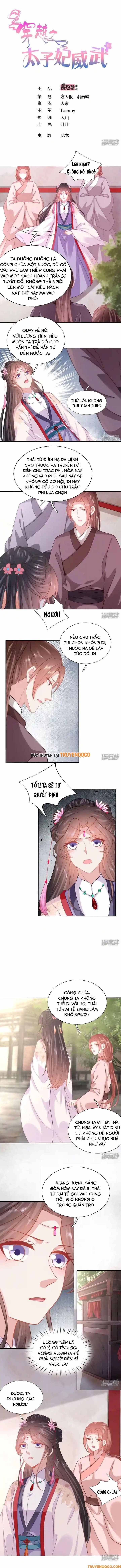 Xuyên Không Trở Thành Thái Tử Phi Uy Vũ: Chapter 127
