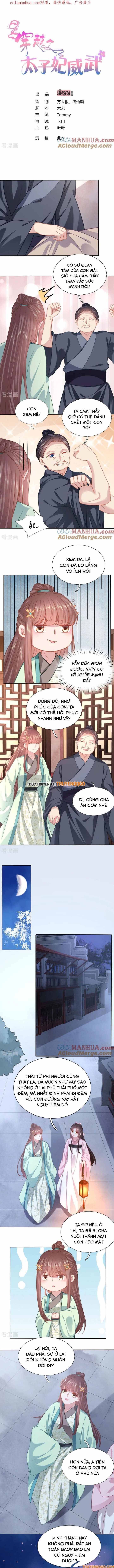 Xuyên Không Trở Thành Thái Tử Phi Uy Vũ: Chapter 132
