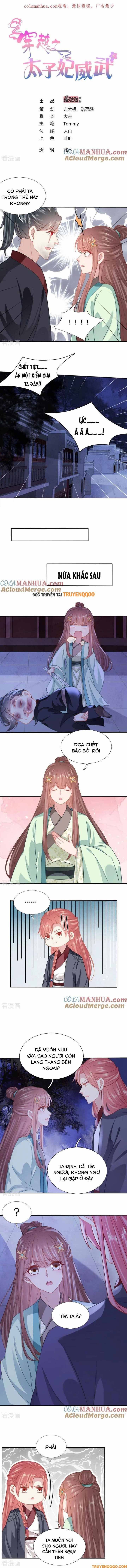 Xuyên Không Trở Thành Thái Tử Phi Uy Vũ: Chapter 133