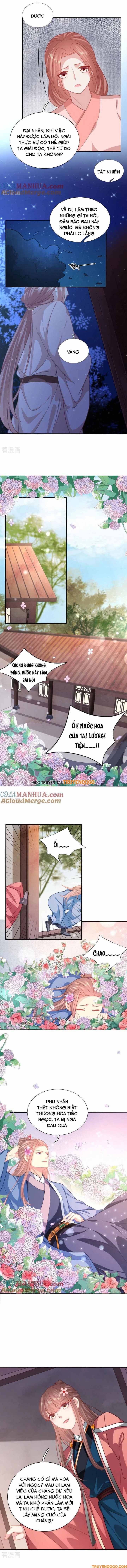 Xuyên Không Trở Thành Thái Tử Phi Uy Vũ: Chapter 139