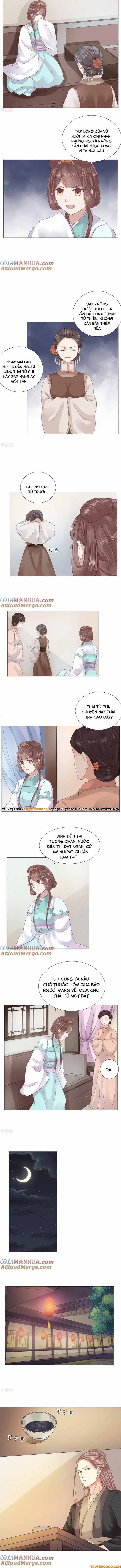 Xuyên Không Trở Thành Thái Tử Phi Uy Vũ: Chapter 14