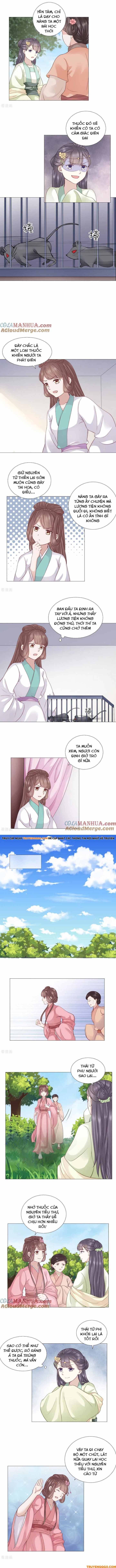 Xuyên Không Trở Thành Thái Tử Phi Uy Vũ: Chapter 22