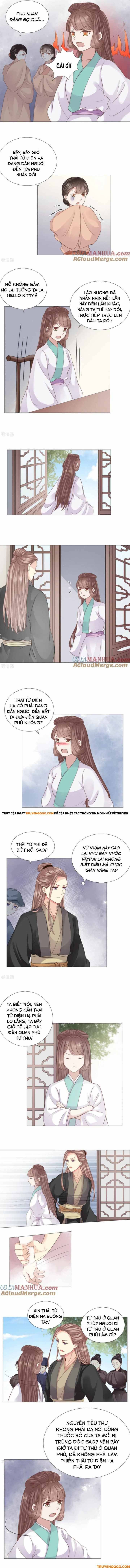 Xuyên Không Trở Thành Thái Tử Phi Uy Vũ: Chapter 26