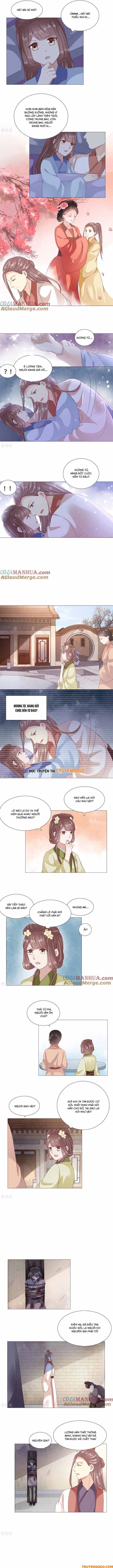 Xuyên Không Trở Thành Thái Tử Phi Uy Vũ: Chapter 40