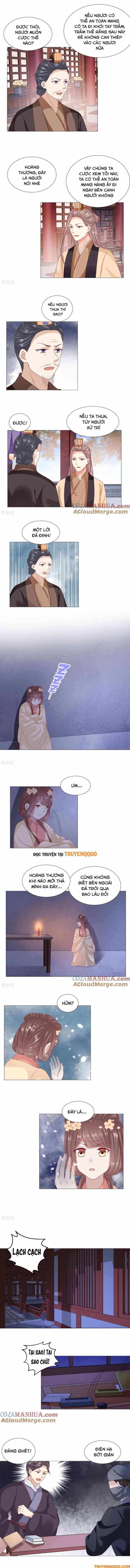 Xuyên Không Trở Thành Thái Tử Phi Uy Vũ: Chapter 53