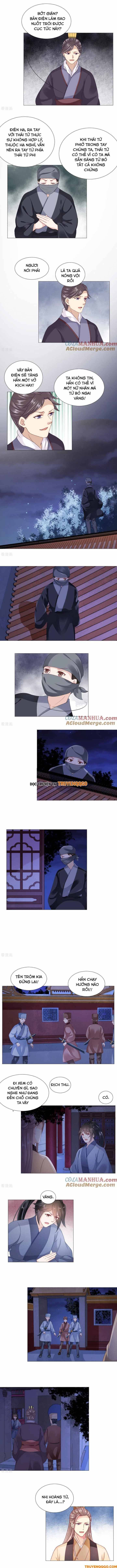 Xuyên Không Trở Thành Thái Tử Phi Uy Vũ: Chapter 53
